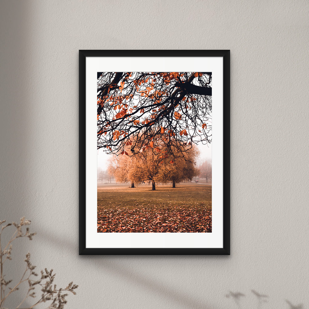 Autumn Trio, Clapham Common